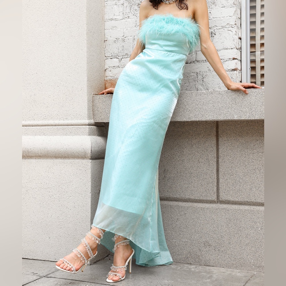 Fritia Feather Mesh Sequins Maxi Dress